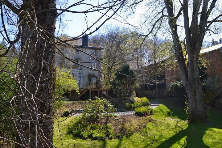 B&B Les Tilleuls Виелсалм Екстериор снимка